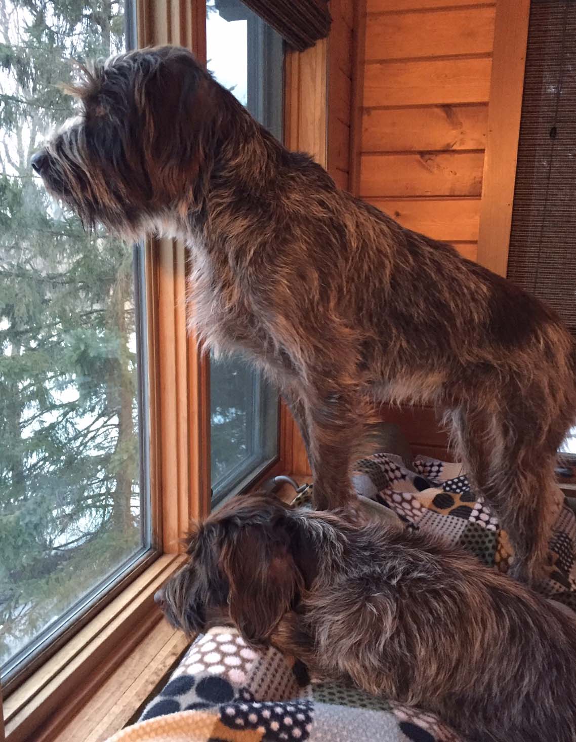finley-and-xupe