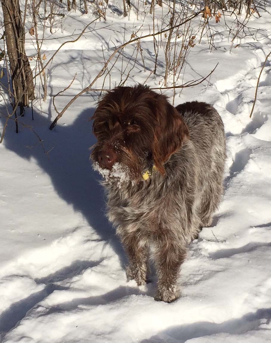 finley